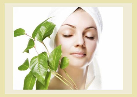 Skin Care